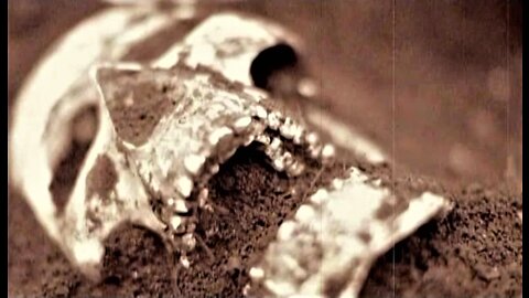 HIDDEN HISTORY OF CANNABALISTIC GIANTS WITH DOUBLE ROW OF TEETH*ARE THEY & THEIR OFFSPRING HERE NOW?