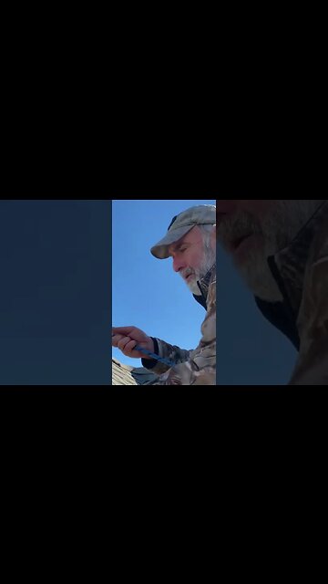 Repairing a Damaged Roof #shorts