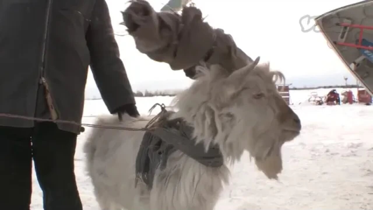 Surviving in the Siberian Wilderness for 70 Years Full Length %%%%% 15