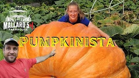 REAL Giant Pumpkin Growing Tips with Pumpkinista 🎃 (Livestream Reupload)