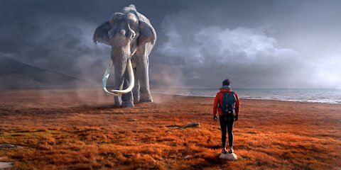 Mammoth Copied From Elephant