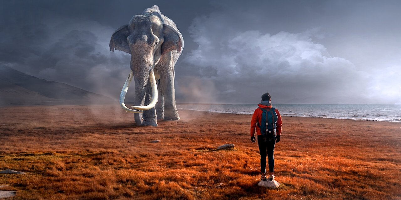 Mammoth Copied From Elephant