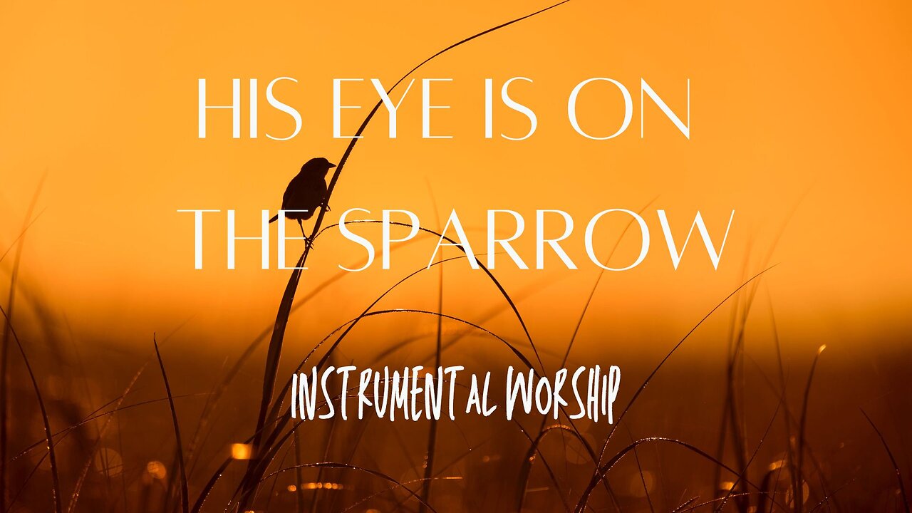 Beautiful Relaxing Hymns, Peaceful Instrumental Music - "His Eye Is on the Sparrow."