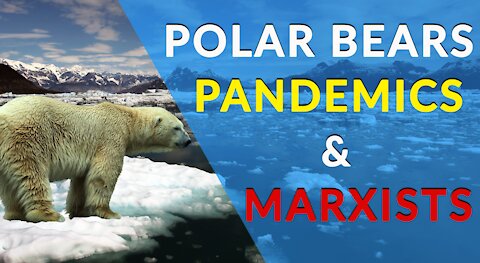 Pandemics, CO2 and Polar Bears