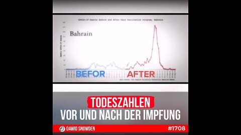 Todeszahlen vor und nach der COVID Impfung