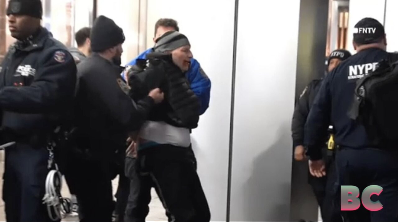 Several arrested after pro-Palestinian protesters crowd NYC on Christmas Day