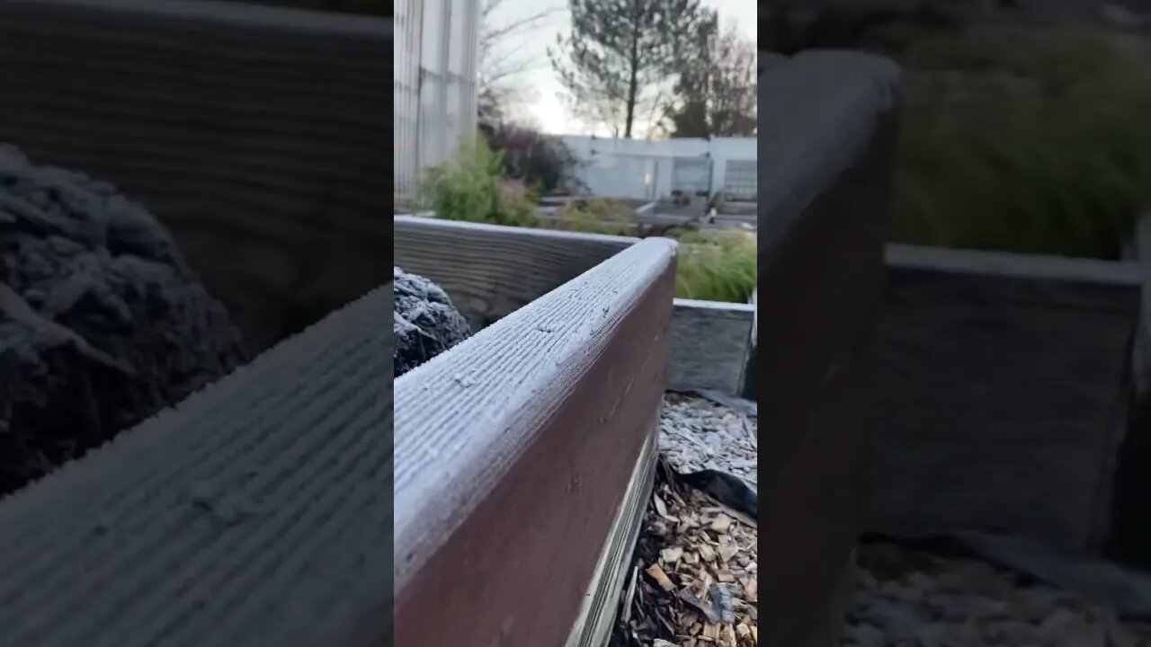 Nice frost last night