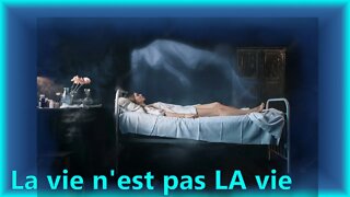 (Lettre n°16) La vie n'est pas LA vie