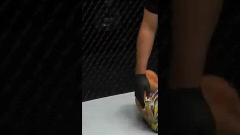 John Lineker vs. Fabricio Andrade fight #shorts