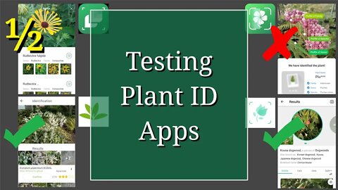 Testing Plant ID Apps