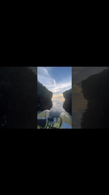 Always Chasing the dream 🌴🐬🎣#hellyeah #craigcat