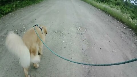 July 8th, Flynn takes me to Prentiss