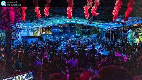 Steradlye - Nekos & Stuff