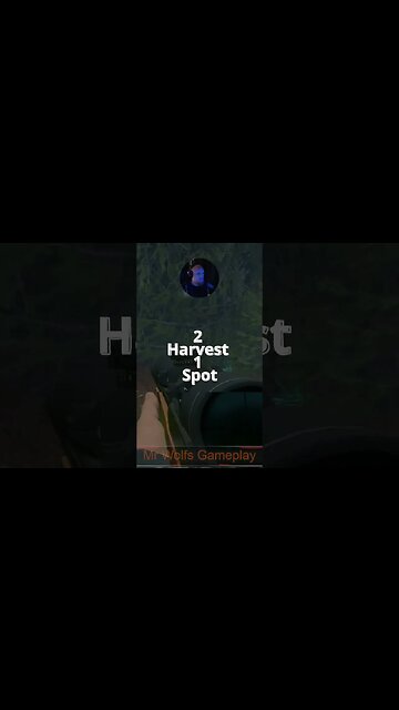 2 Harvest 1 Spot #callofthewild #cotw #game #mrandmrswolfgaming #shorts