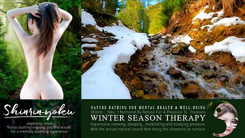 Shinrin-Yoku Bio Music Therapy | Nature Asmr 024 ▶️