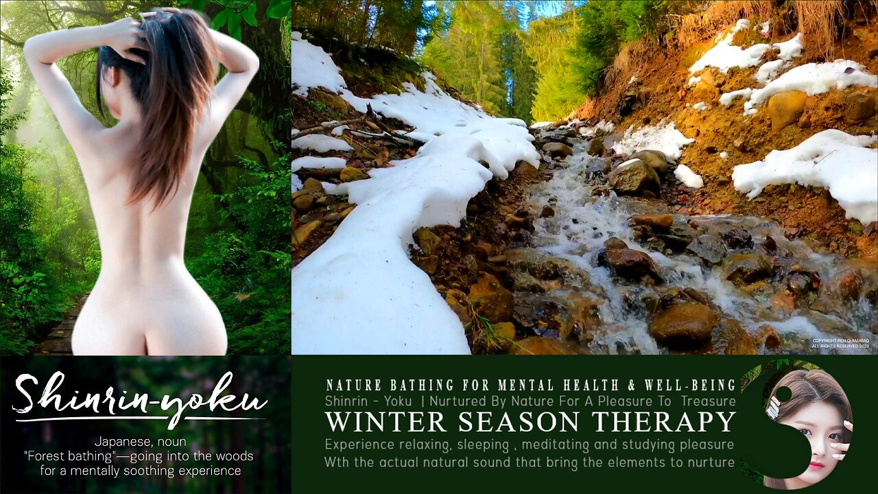 Shinrin-Yoku Bio Music Therapy | Nature Asmr 024 ▶️