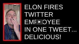 Twitter Employee Gets Fired by Elon in One Simple Tweet...Delicious!