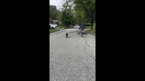 Angus and the bike pt 2