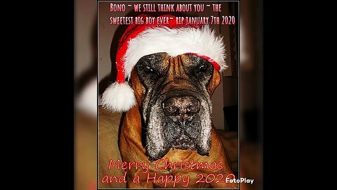 Big bass for my Big Boy #loudbass