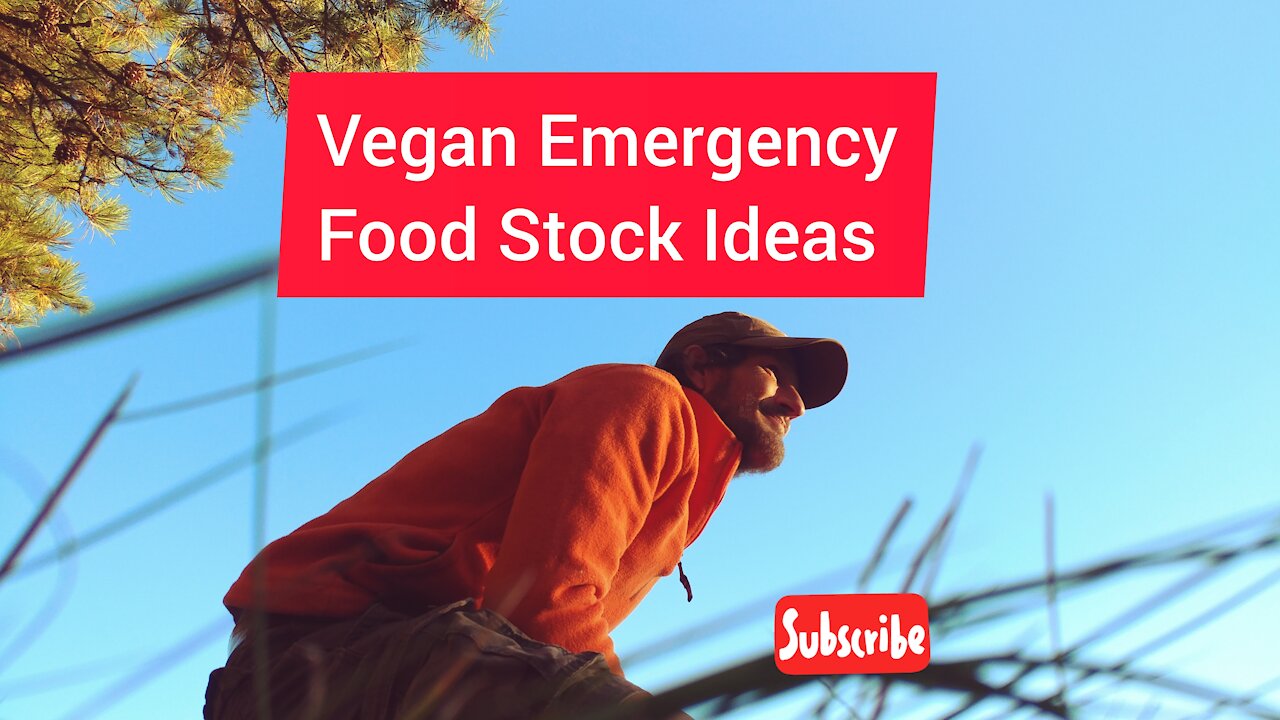 Vegan Emergency Food Stock Ideas