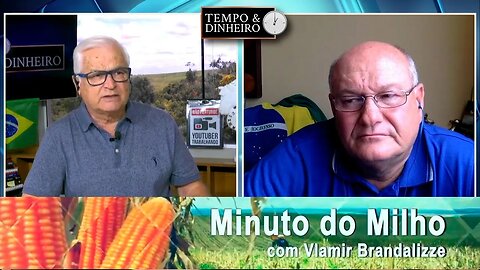 Outlook pode trazer aumento da área do Milho