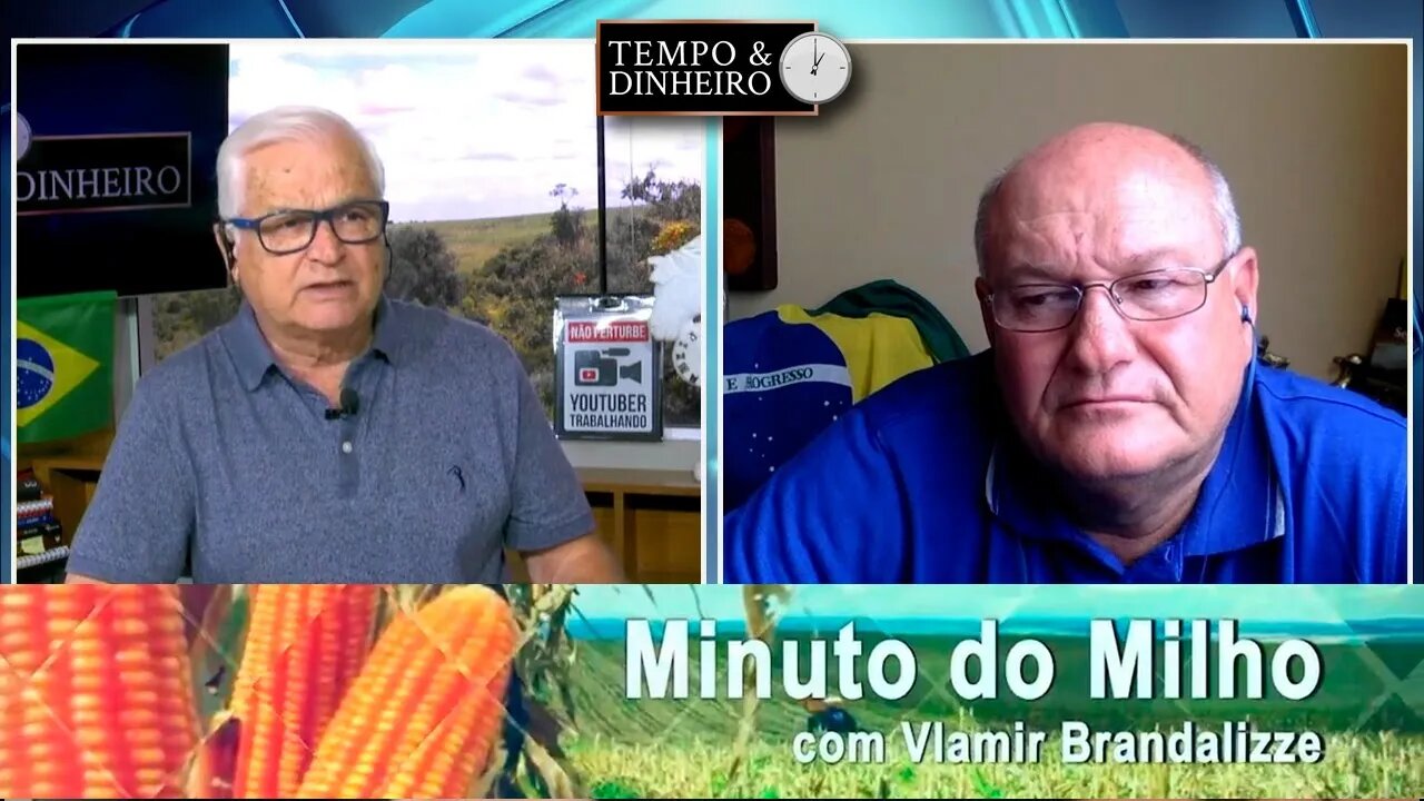 Outlook pode trazer aumento da área do Milho