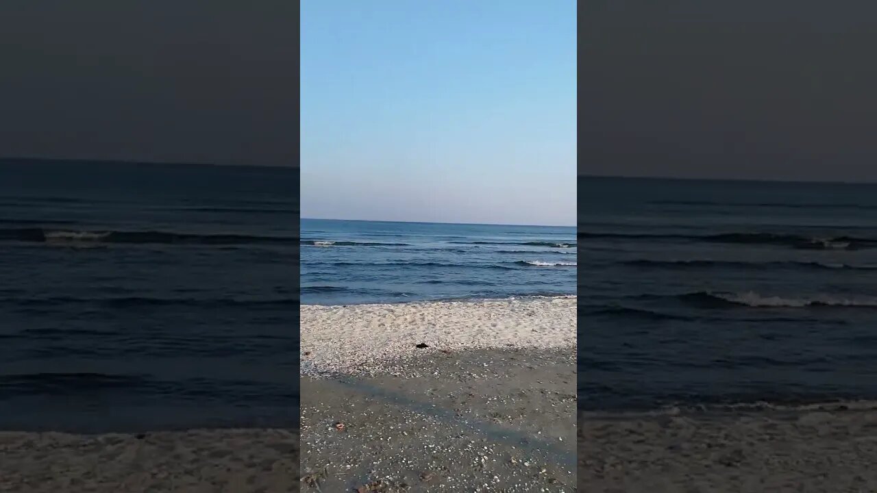 C'est ça La VRAIE Vie