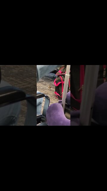 There's a BIRD in the Airport! #airport