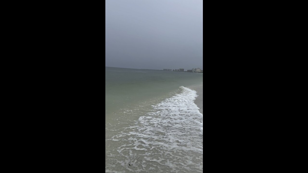 Rainy Morning In Paradise #Rain #Thunderstorm #MarcoIsland #mywalksinparadise #TropicalMoisture #4K