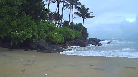 listen to the sound of the sea and birds