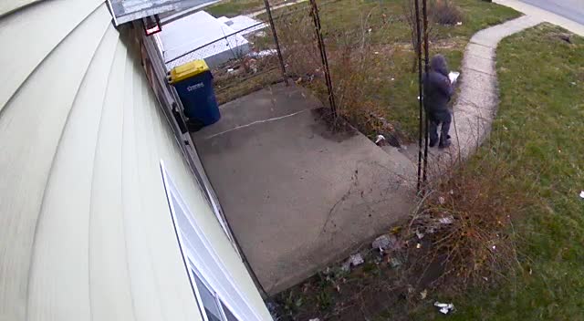 Surveillance shows woman stealing mail from Indianapolis neighborhood