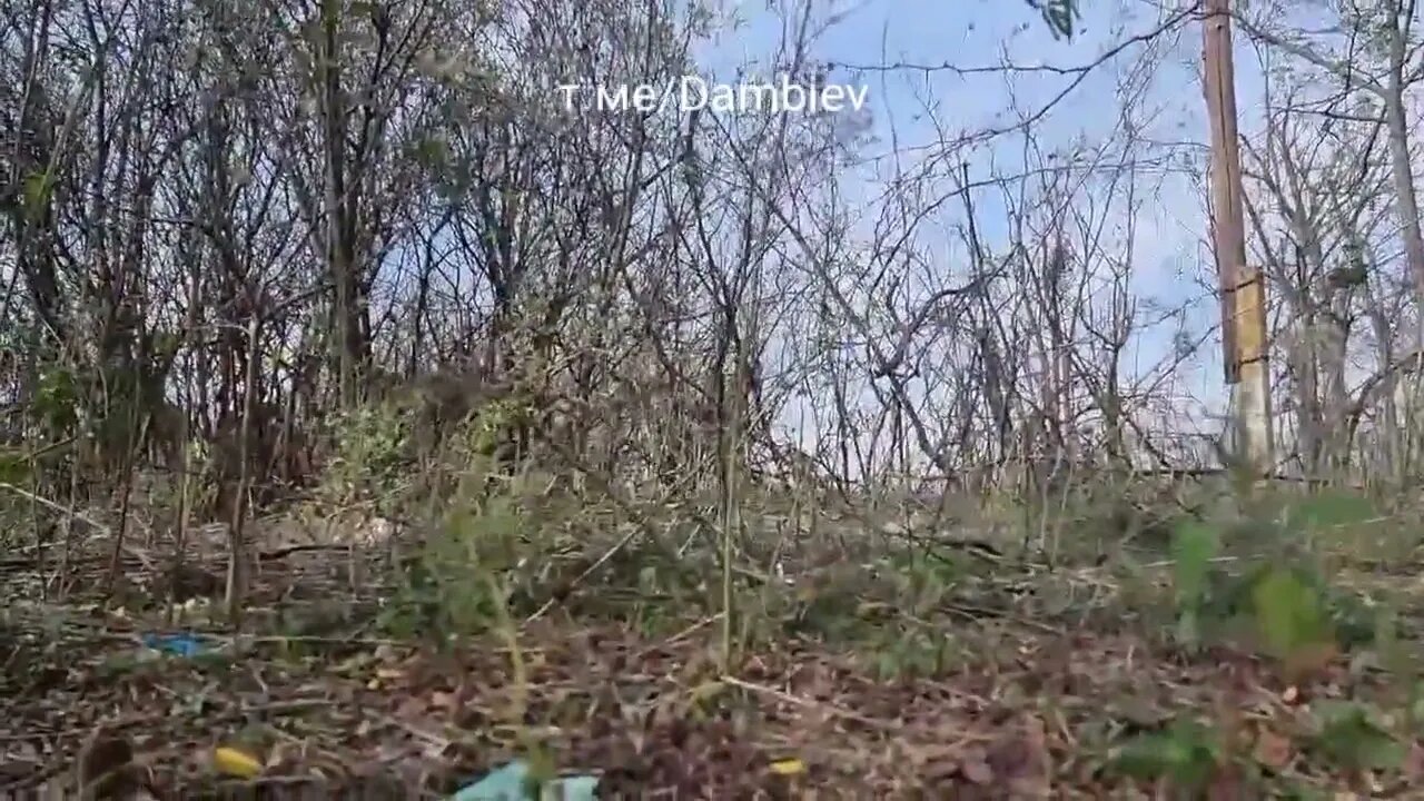 American, British and New Zealand mercenaries under Russian artillery fire