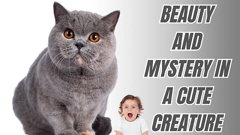 beauty and mystery in a cute creature