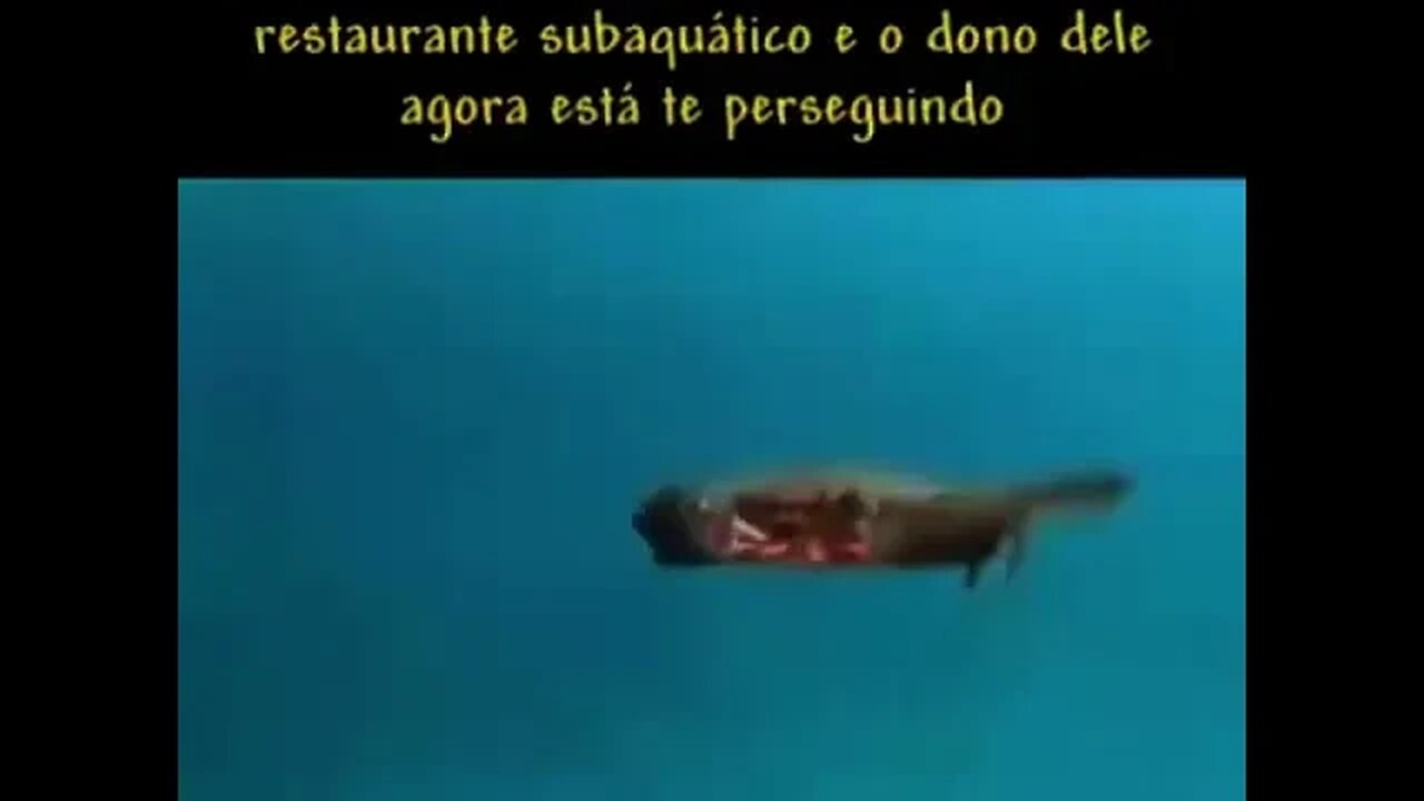 SEU SIRIGUEJO