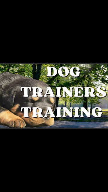 Dog Trainers Training 💪🏽 👌