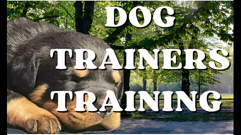 Dog Trainers Training 💪🏽 👌