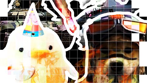 EPIC FUNNY CHICKEN VS DOG BATLLE