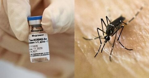 Bill Gates Prepares October Surprise, Genetically modified 🦟 , flying vaccines