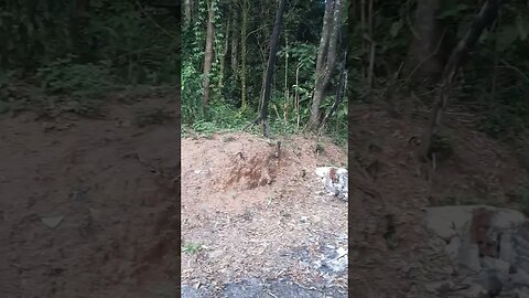 EM VEZ DE SEGUIR SENTIDO ESTRADA DE SANTA ISABEL INDO POR TRILHA RETORNANDO PARA TAIPAS