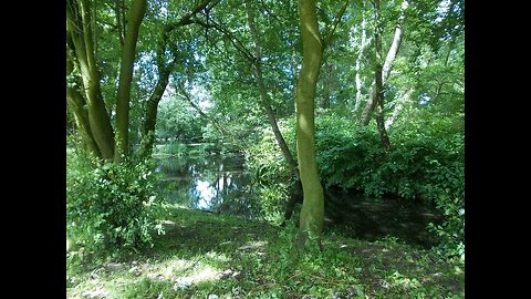 Dee Major Seven [2019 Remaster]