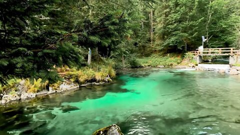 放鬆的心靈音樂｜Relaxing Music • Sleep Music,Relaxing Music, Meditation Music★40