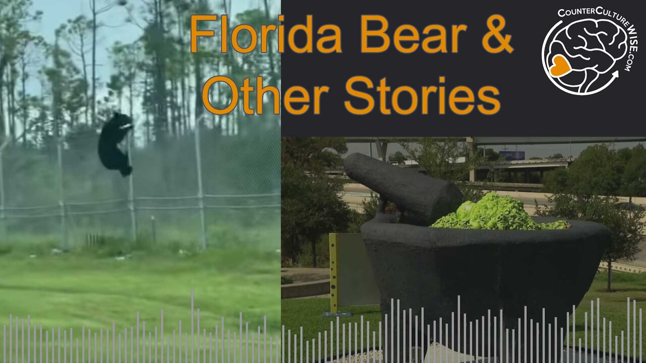 Florida Bear and other News of the Weird and wonderful