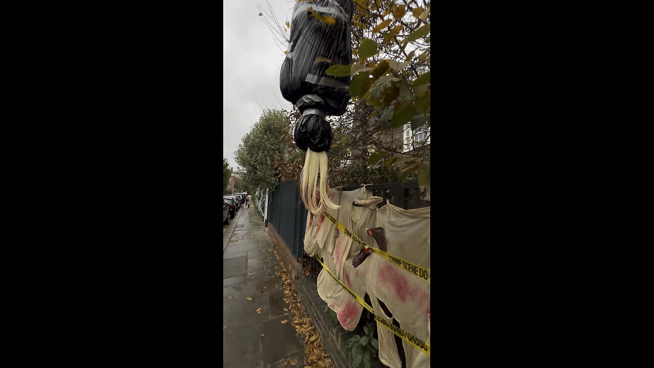 Wrapped in Bin Bag Man Hanging from a Tree in London Chelsea