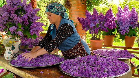 Fresh Spring Lilacs Picking： How to Preserve the Scent of Spring