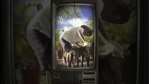 DEPOIS DA PISCINA, HORA DA SECAGEM !!! NÃO PODE ESQUECER DOS 'ZOVIDO' DAS 'BABUÍNAS'!