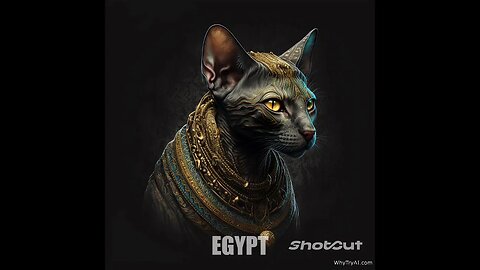 Cats In Hats Around The World!!!
