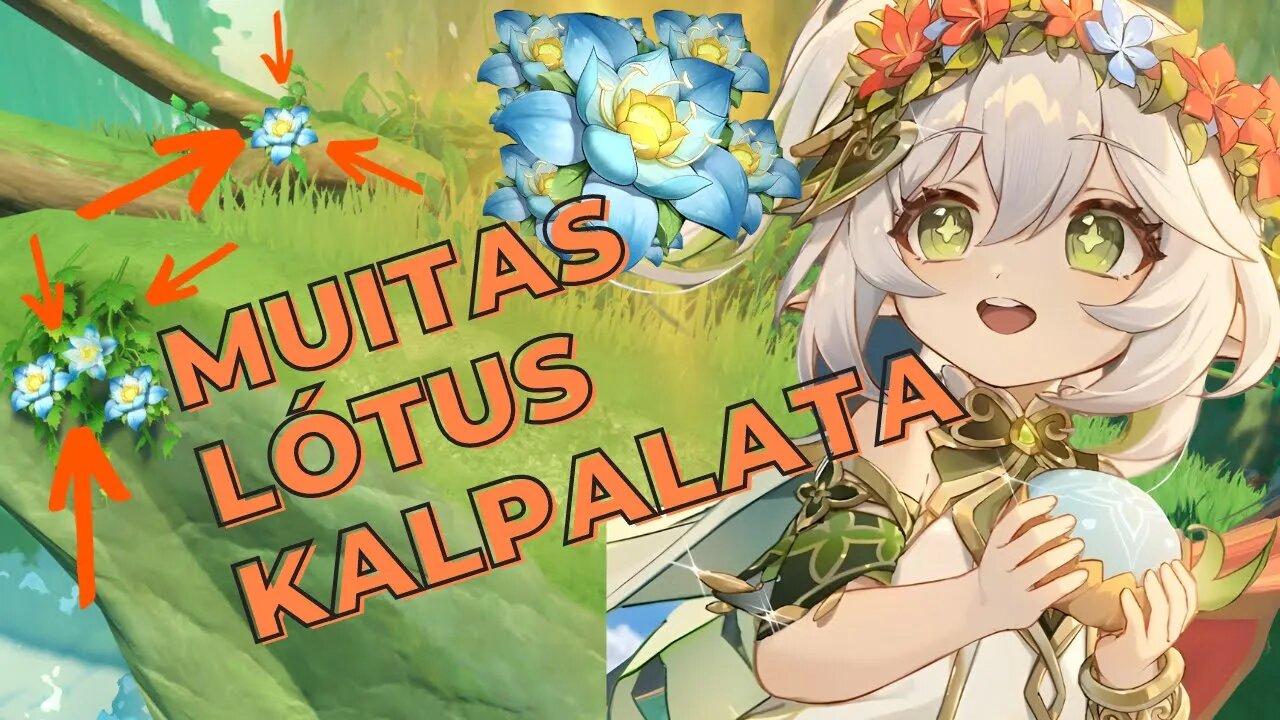 Rota COMPLETA de Lótus Kalpalata | Sumeru - Genshin Impact