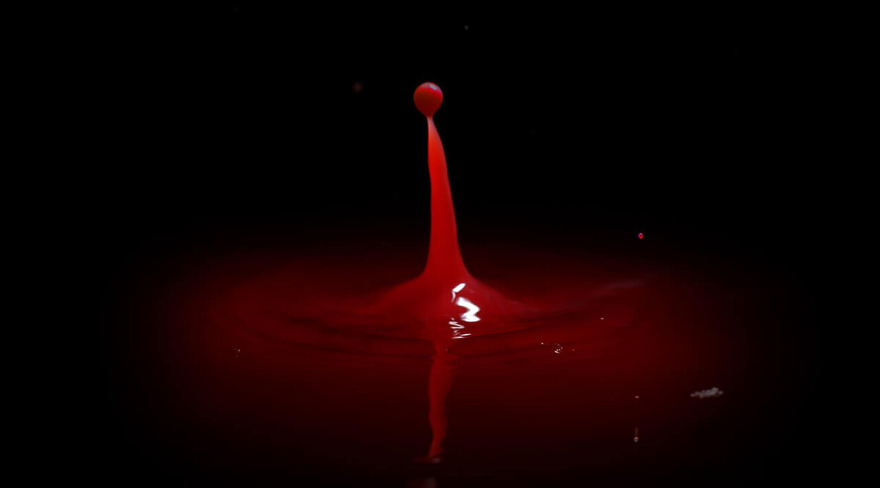 "Not Without Blood" - Ronald L. Dart