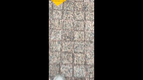 Car video
