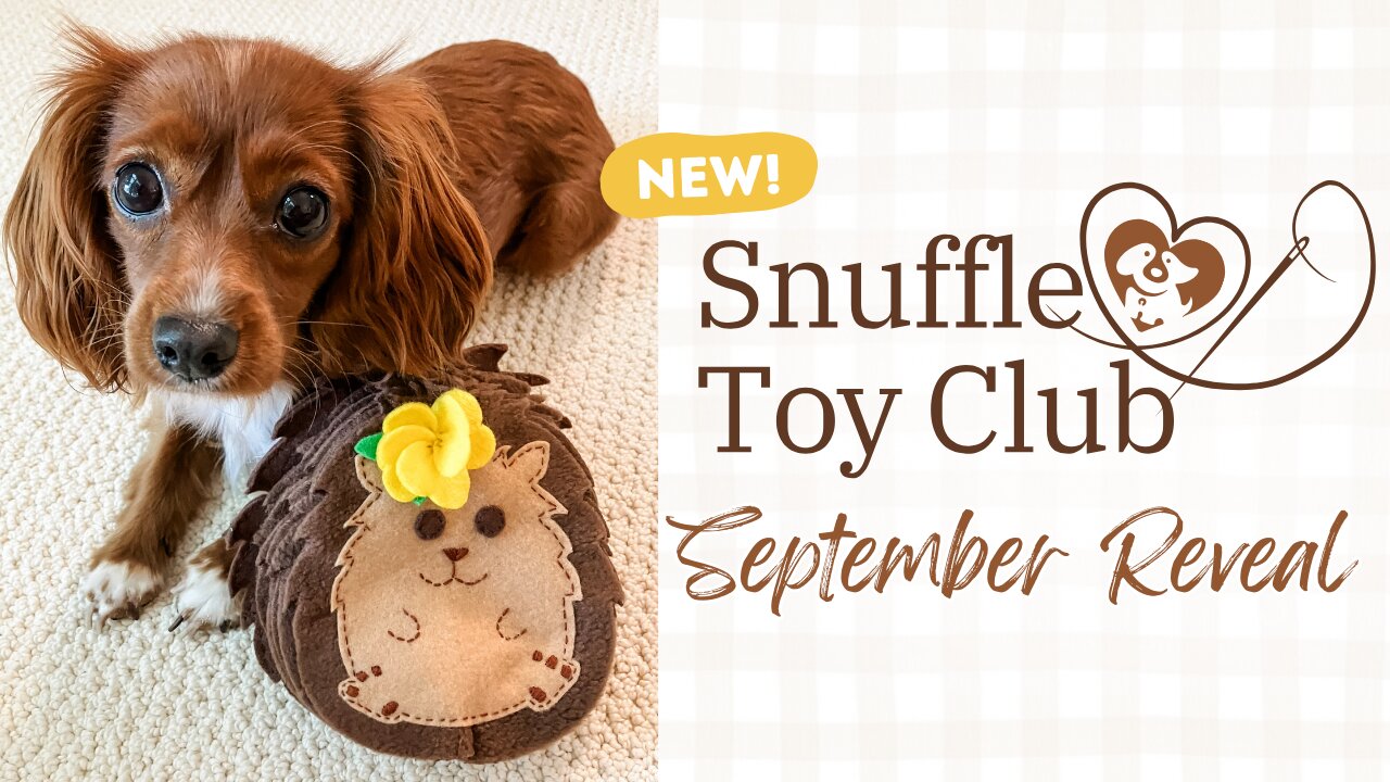 September Snuffle Dog Toy Box Kit Reveal 👀
